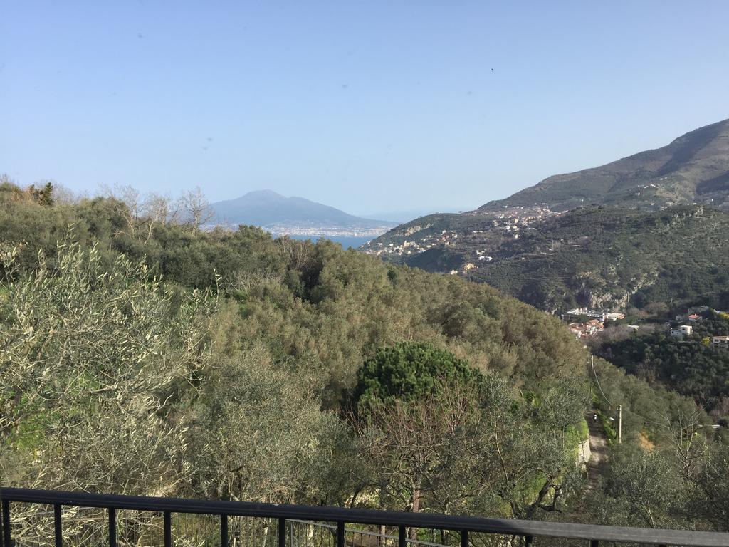 Il Casale Del Mirto Villa Vico Equense Dış mekan fotoğraf