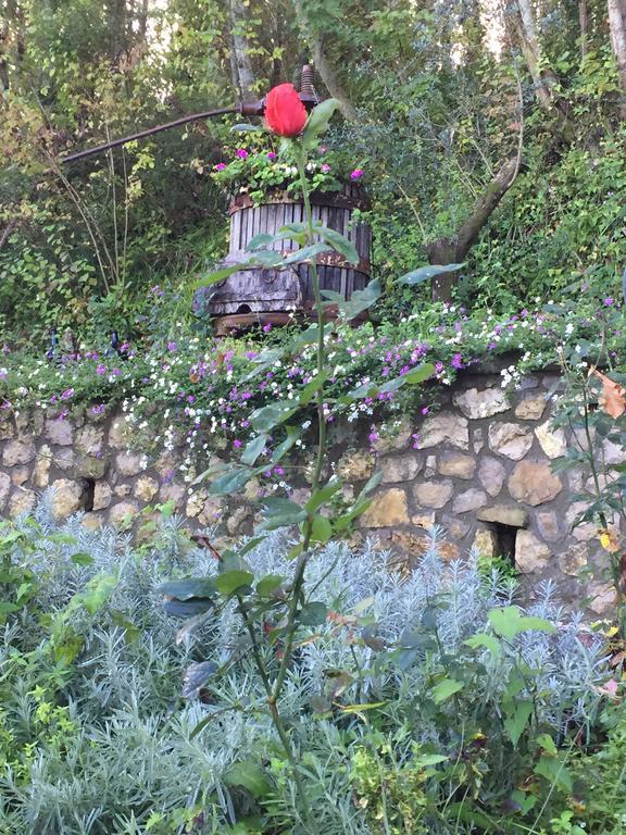 Il Casale Del Mirto Villa Vico Equense Dış mekan fotoğraf