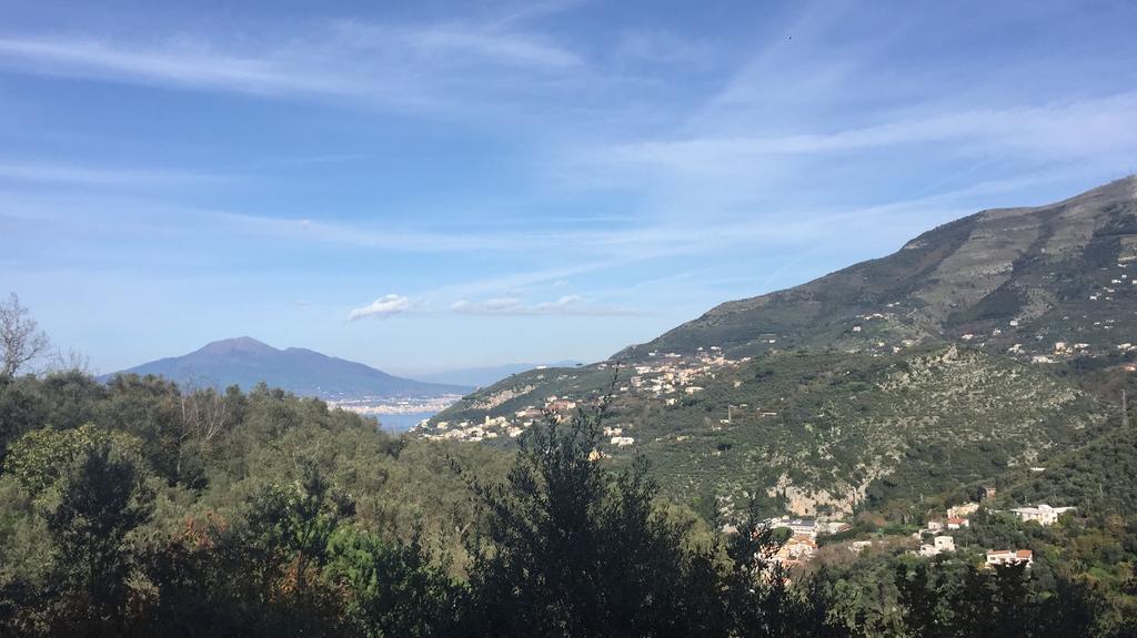 Il Casale Del Mirto Villa Vico Equense Dış mekan fotoğraf